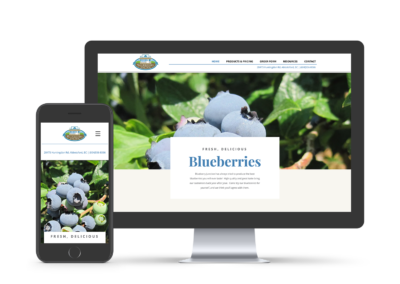 Blueberry Junction