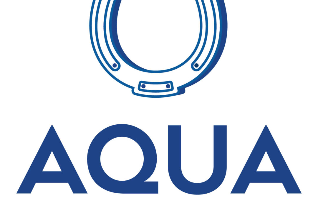 Aqua Horse