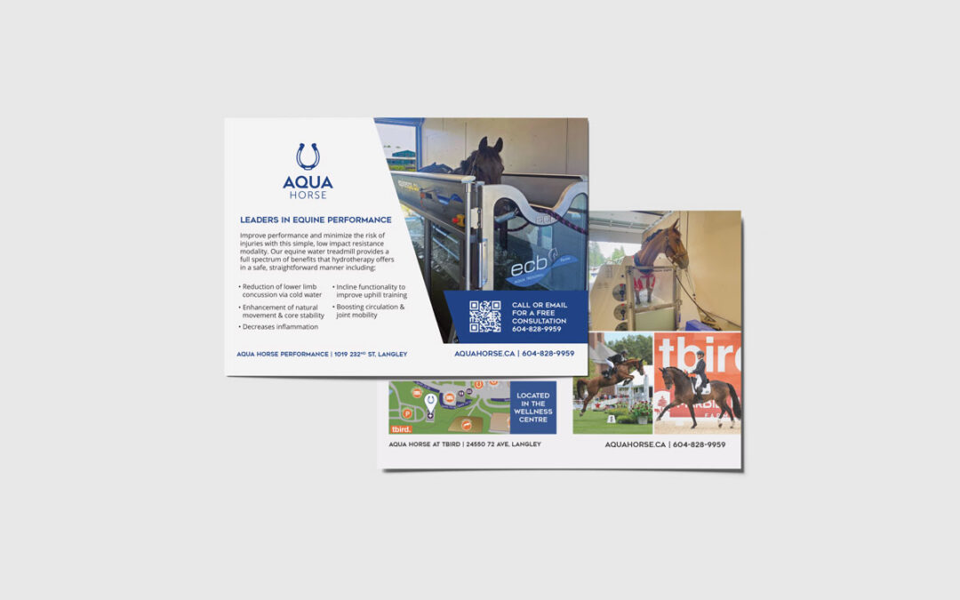 Aqua Horse Postcard